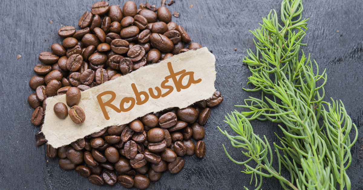 ROBUSTA COFFEE